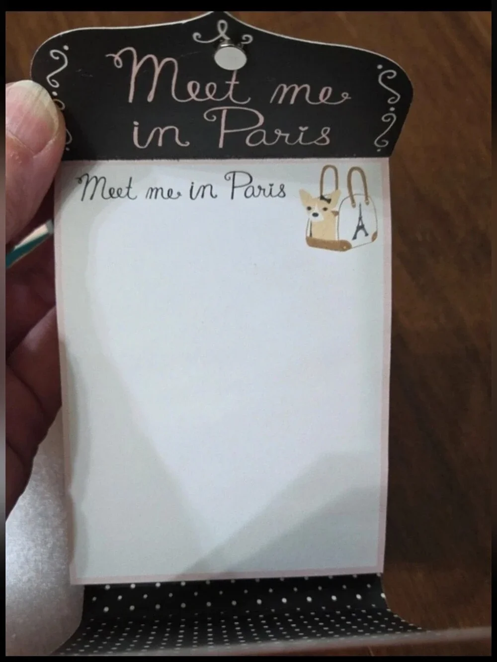 MOLLY & REX POCKET NOTEPAD MEET IN PARIS CHIHUAHUA IN DESIGNER PURSE